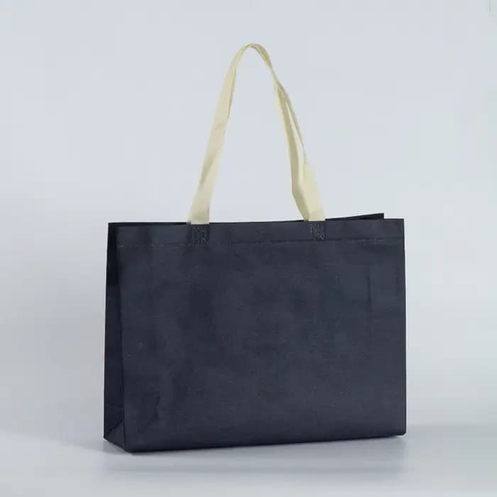 Sac de courses pliable pour femmes