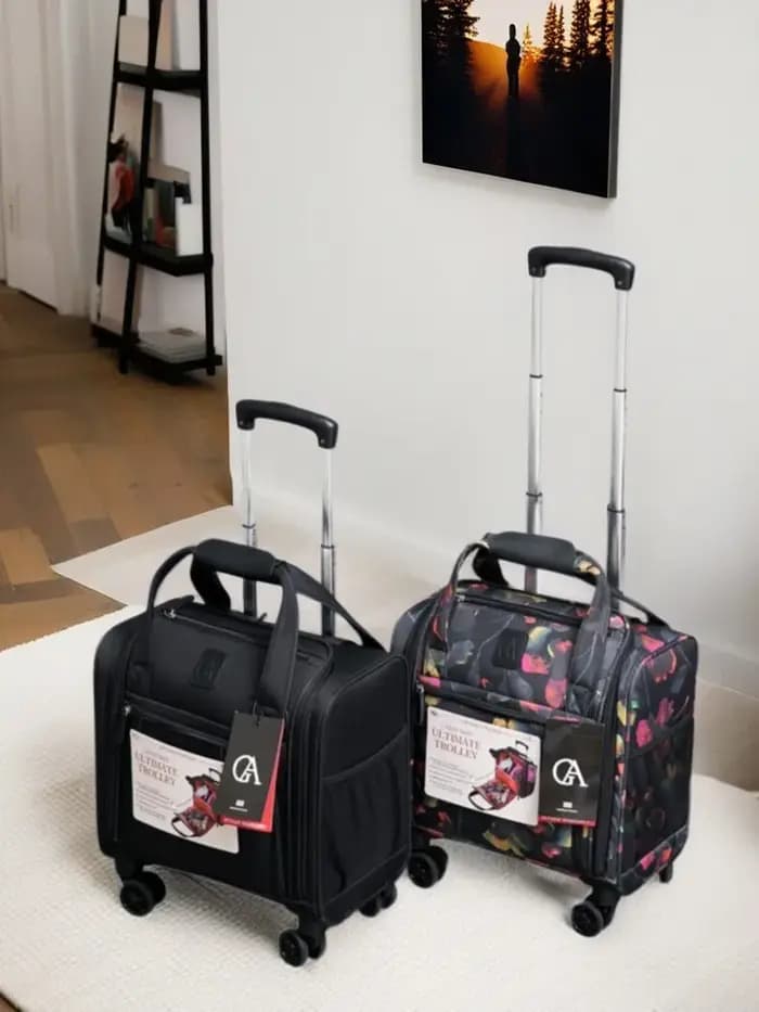 Valise à bagages roulante pour conduite aérienne