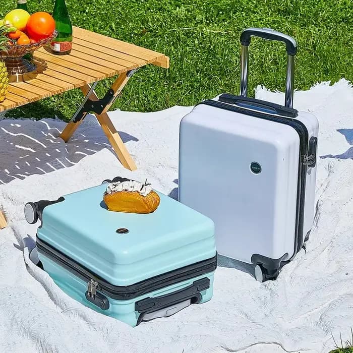 Petit compartiment à bagages pour voyage aérien