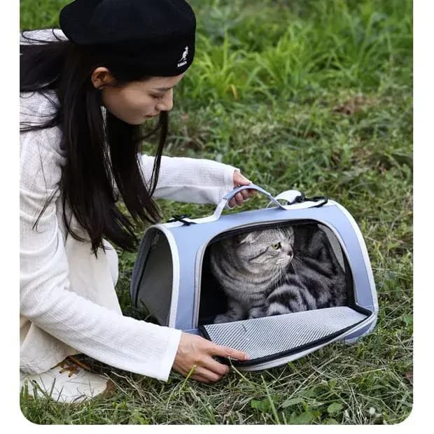 Sac de transport pour chat portable grande capacité respirant pour extérieur