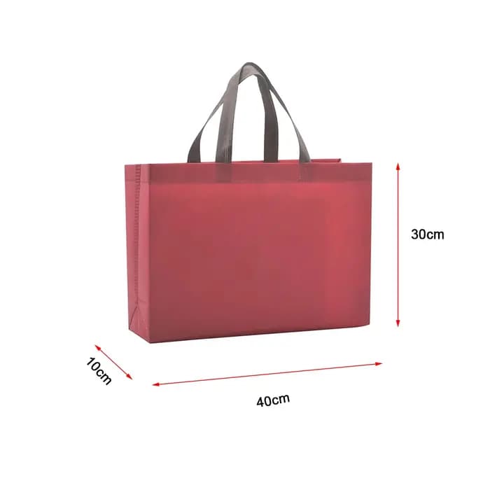 Sac de courses pliable pour femmes