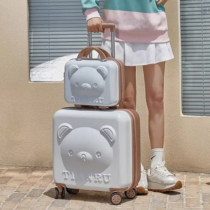 Valise de voyage avec sac à main de 20 pouces