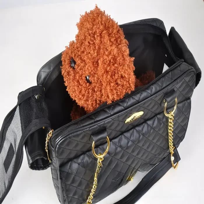 Sac à dos de voyage Portable pour animaux de compagnie