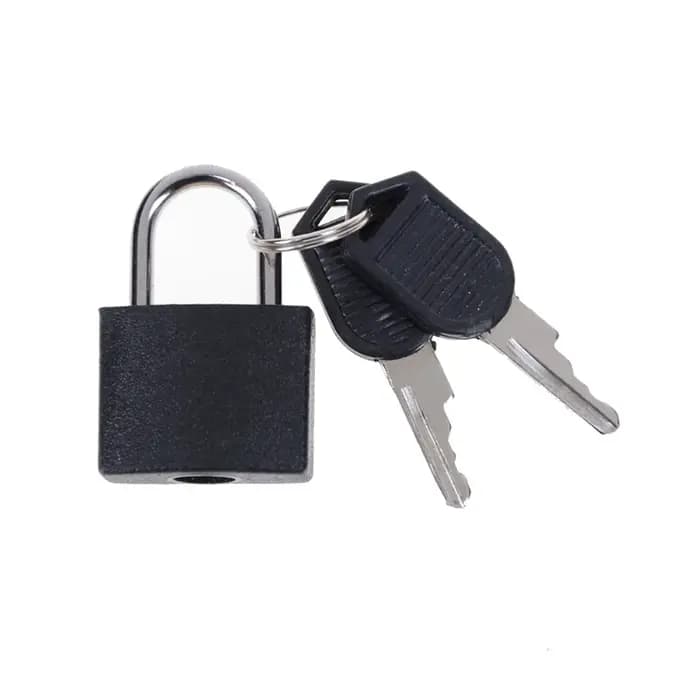 1PCS 30x23mm Petit mini cadenas en acier robuste pour valise de voyage et journal intime avec 2 clés