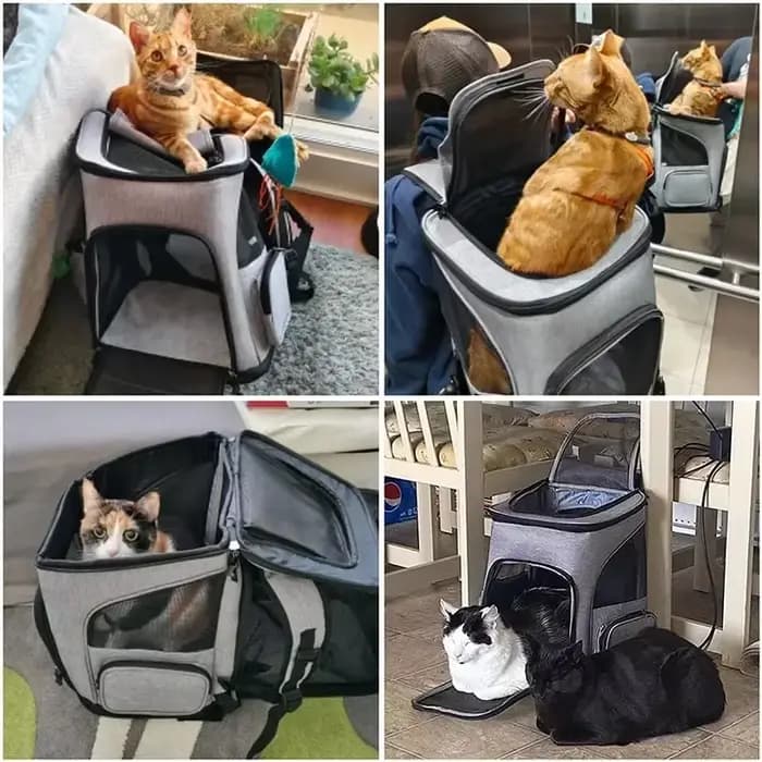 Sac à dos portable pour chat