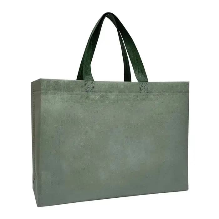 Sac de courses pliable pour femmes