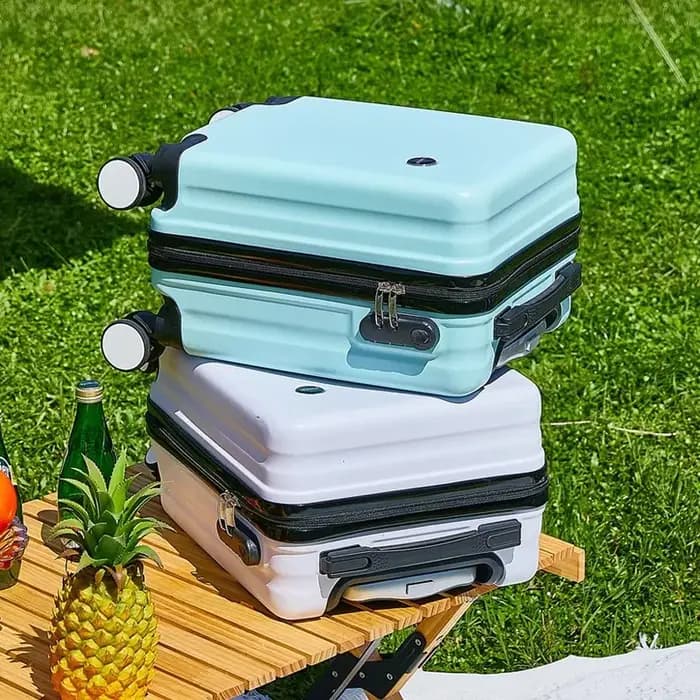 Petit compartiment à bagages pour voyage aérien