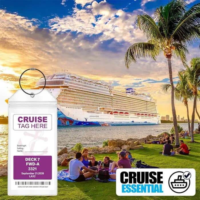 Lot de 6 porte-étiquettes de bagages pour croisière
