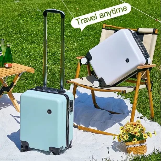 Petit compartiment à bagages pour voyage aérien