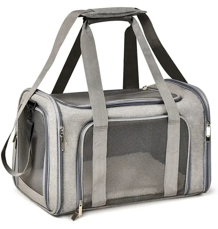Sac de transport pour chien et chat approuvé par les compagnies aériennes, nouveau sac à dos souple