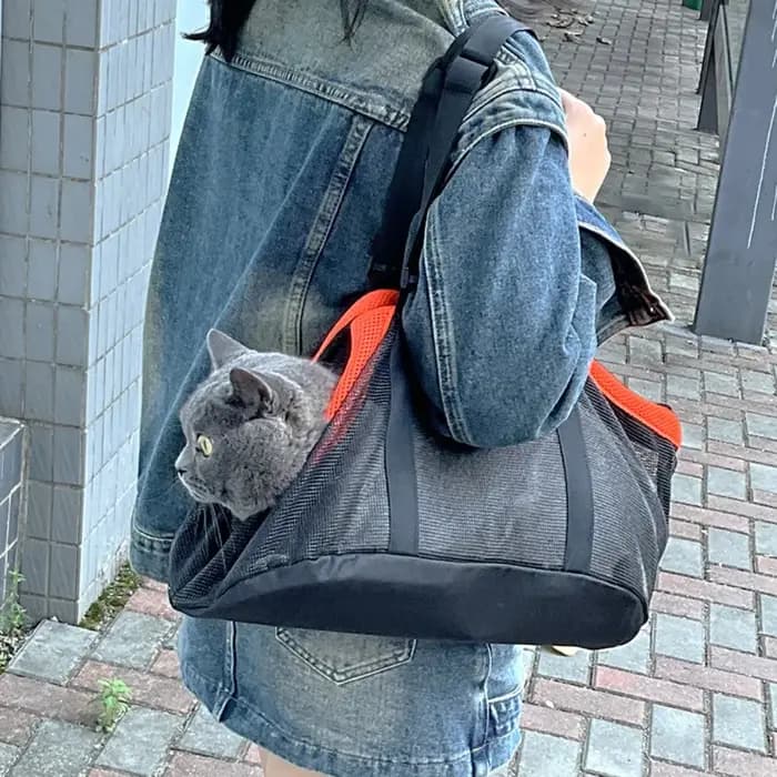 Sac à dos pour chien, sac portable pour petit chien