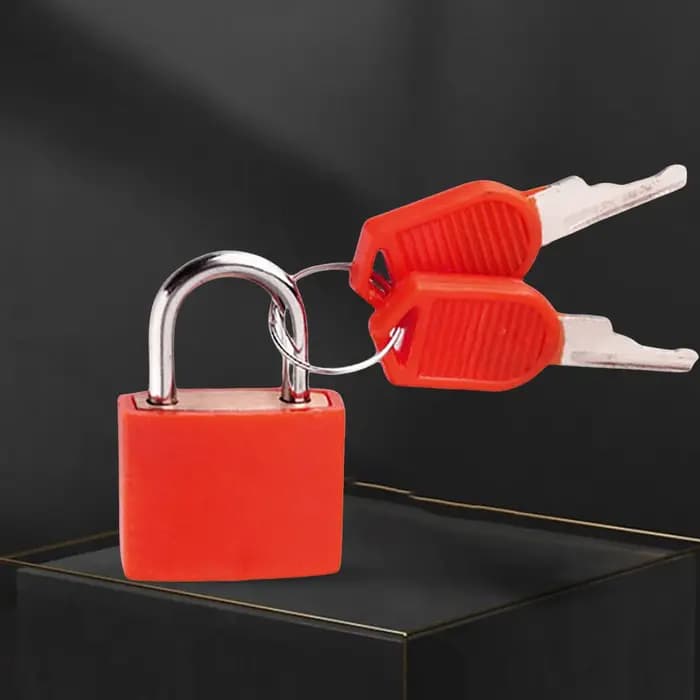Cadenas de Sécurité avec 2 Valise de Voyage