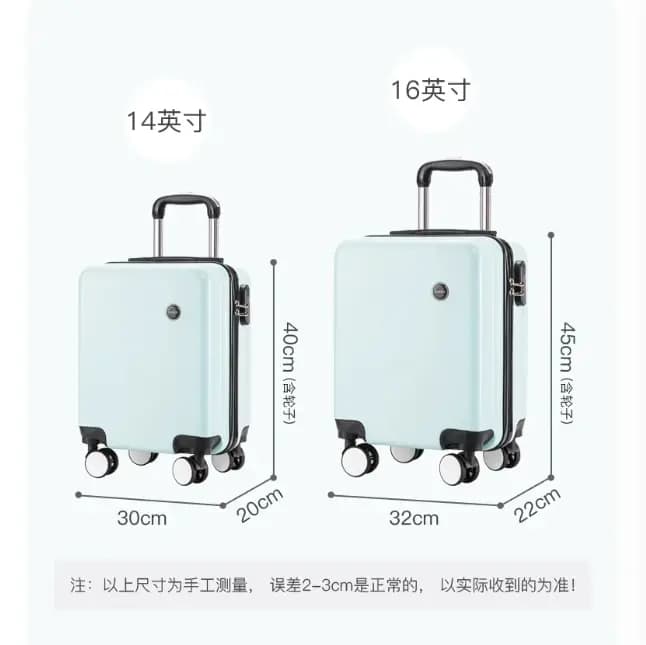 Petit compartiment à bagages pour voyage aérien