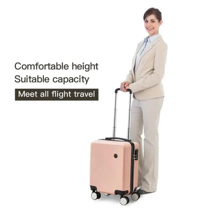 Petit compartiment à bagages pour voyage aérien