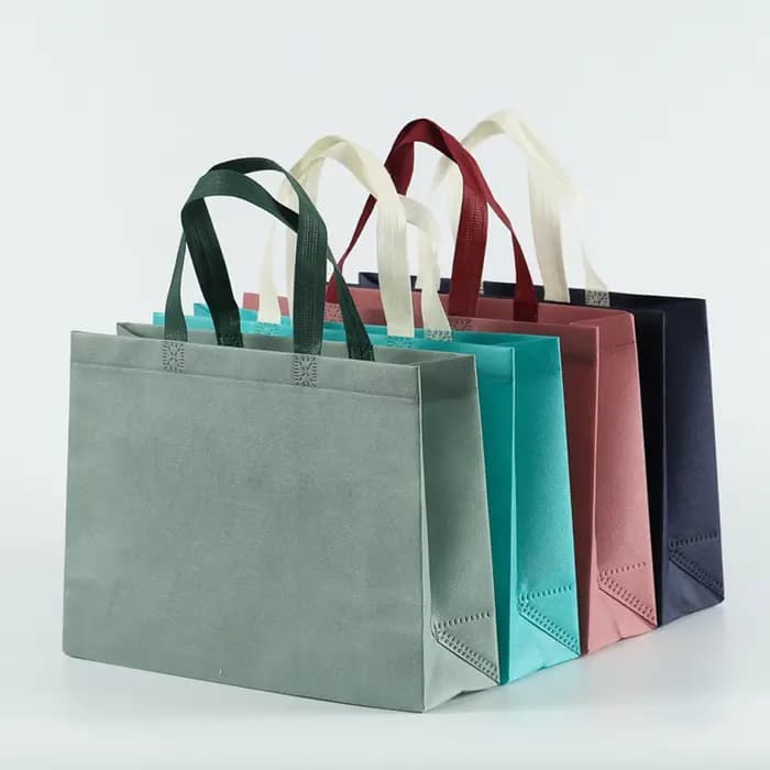 Sac de courses pliable pour femmes