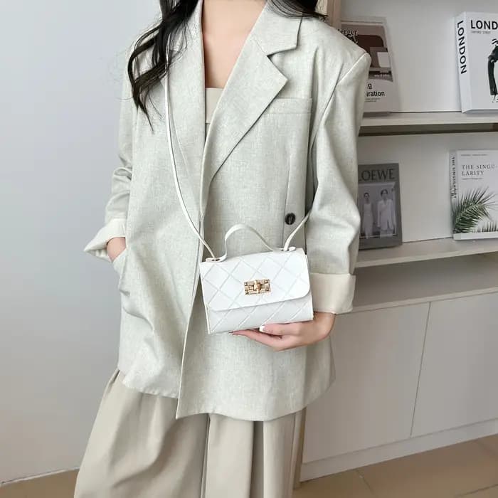 2025 petit sac de messager pour les femmes tendance Lingge broderie caméra femme sac à bandoulière mode chaîne dames
