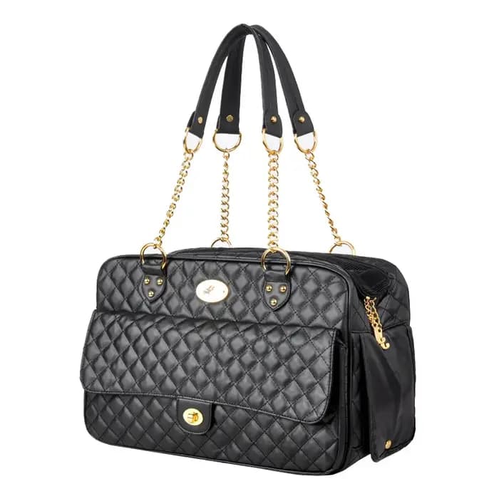 Sac à dos de voyage Portable pour animaux de compagnie