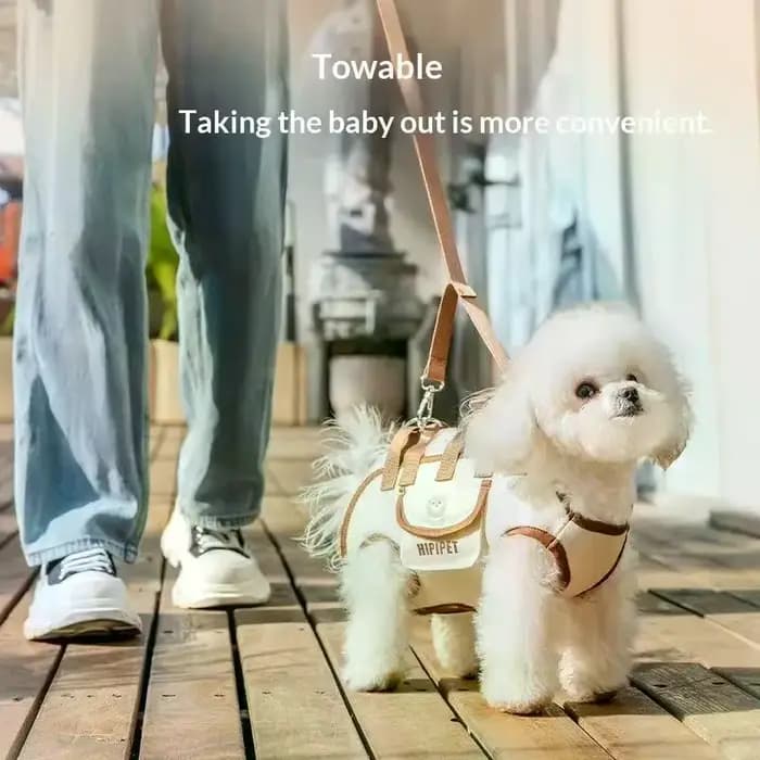 Sac de transport portable pour animaux de compagnie