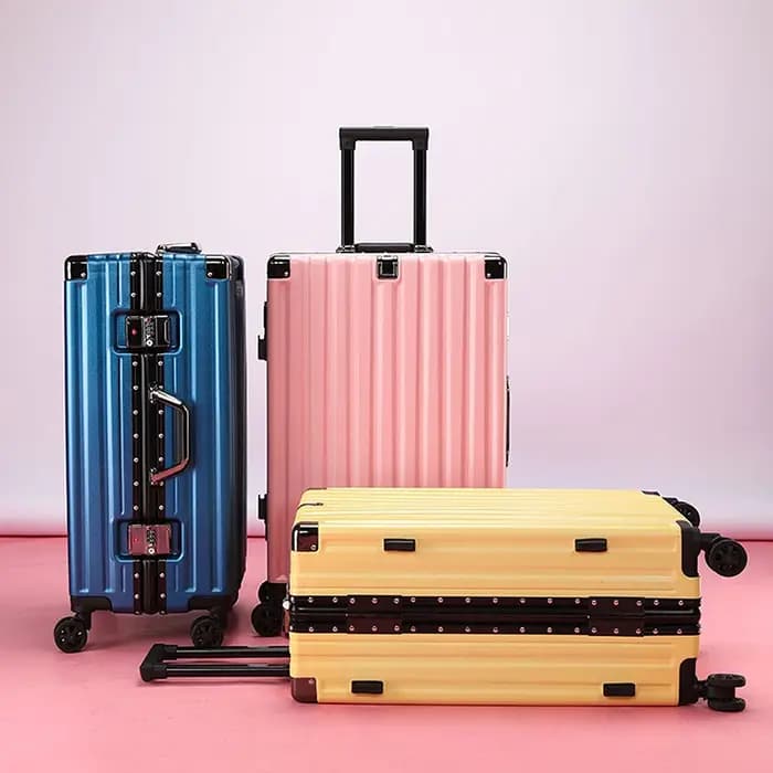 Valise à roulettes de grande valeur pour hommes et femmes