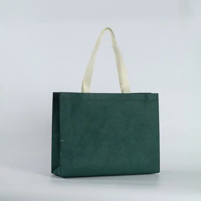 Sac de courses pliable pour femmes