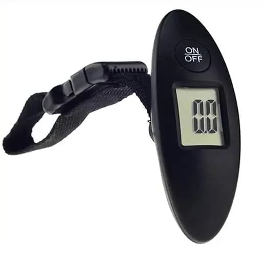 Balance à bagages numérique 50 kg/10 g, électronique, portable, pour valise, voyage, avec rétroéclai