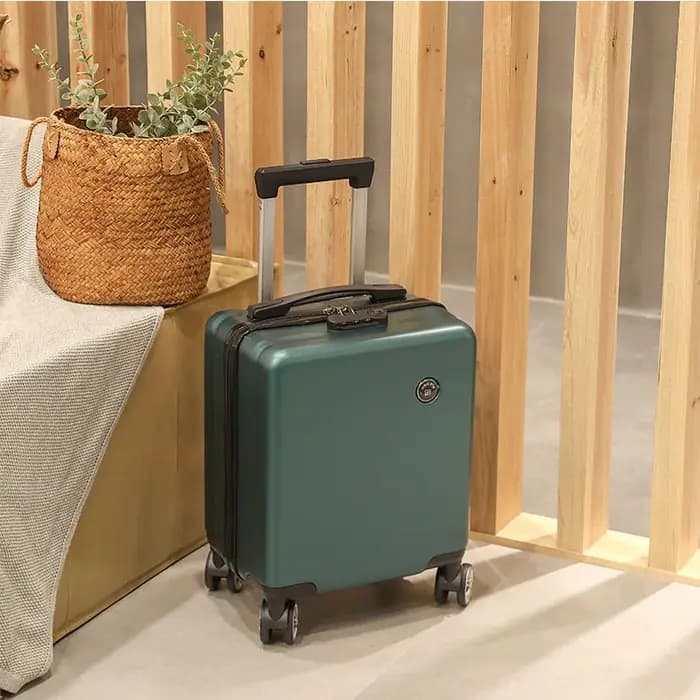 Petit compartiment à bagages pour voyage aérien