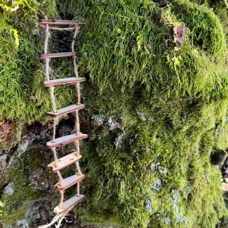 Nouvel accessoire de photographie 1 pièce, échelle en corde de pont féerique en bois, pour la décora