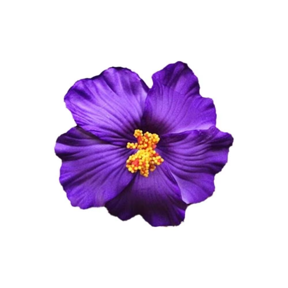 Épingles à cheveux pour fête de mariage, barrettes pour femmes, pinces à cheveux injFlower Pearl, pi