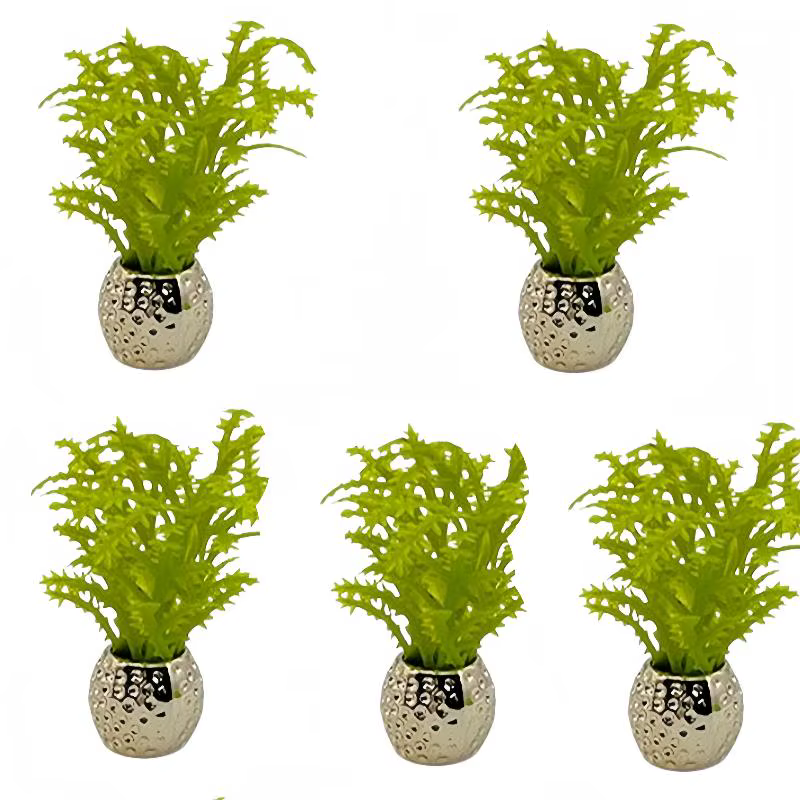 Plantes pour maison de poupée, 5 pièces, simulation de scène de jardin miniature, décoration de cour