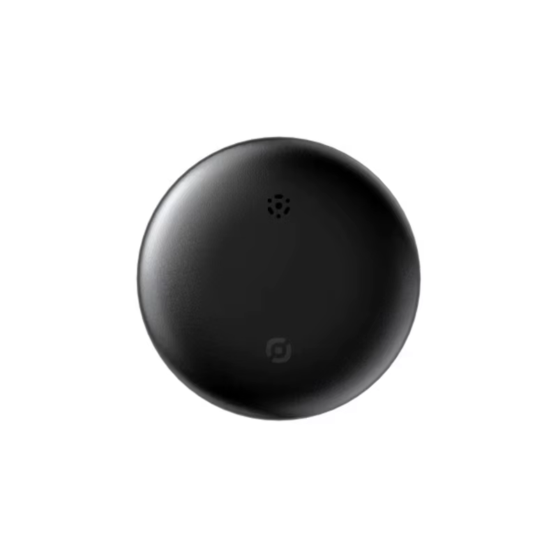 Localisateur GPS pour animaux de compagnie, portefeuille, valise, voiture, positionnement Global, su