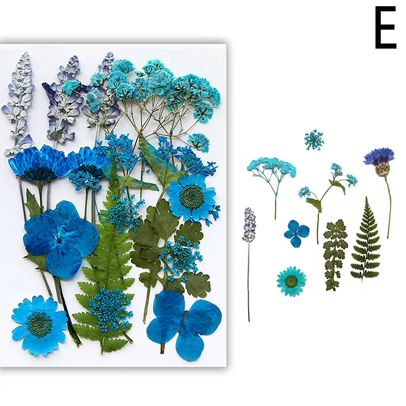 Fleurs séchées véritable plante naturelle pressée fleur pour résine époxy remplissage bricolage Nail